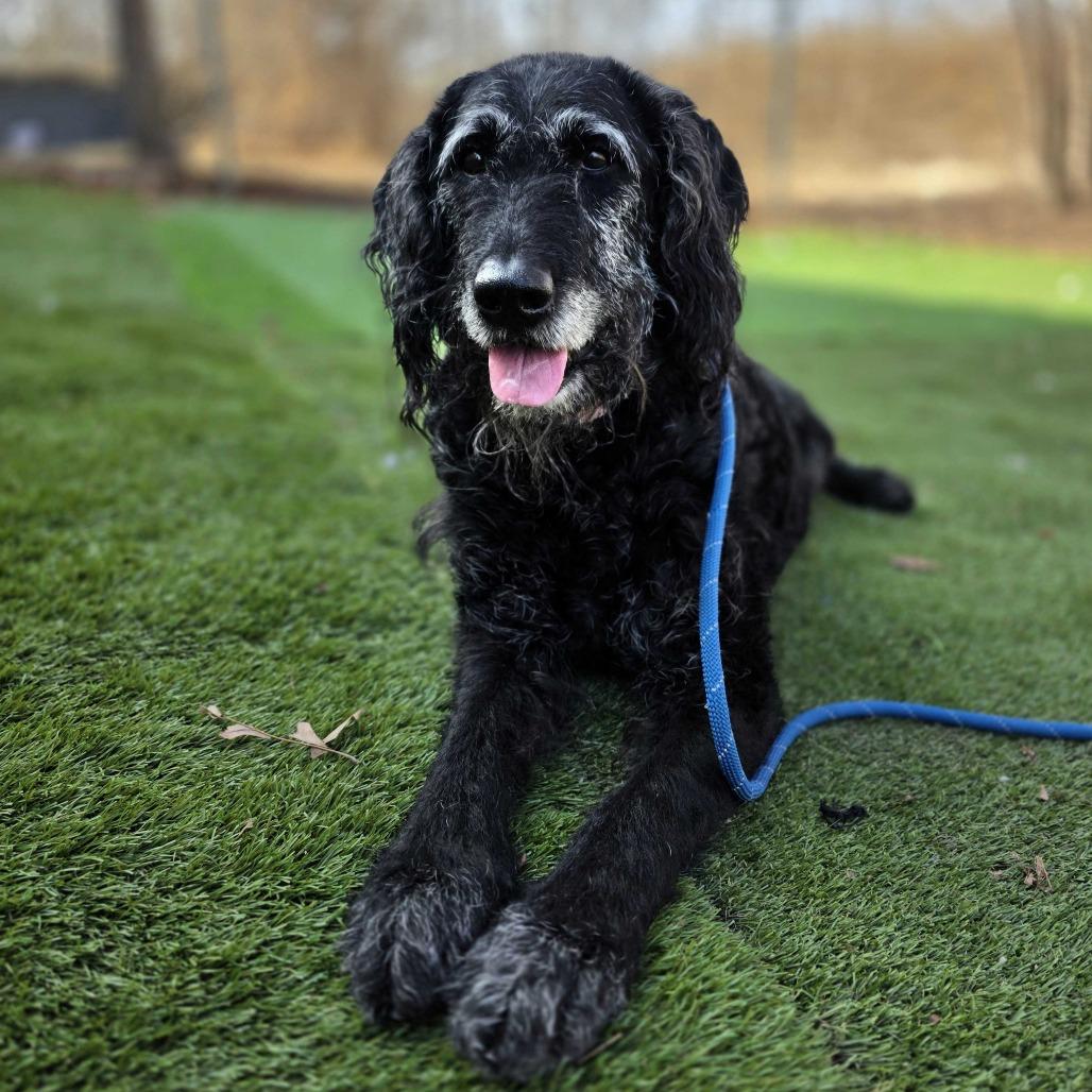 Lizzy — thumbnail 3