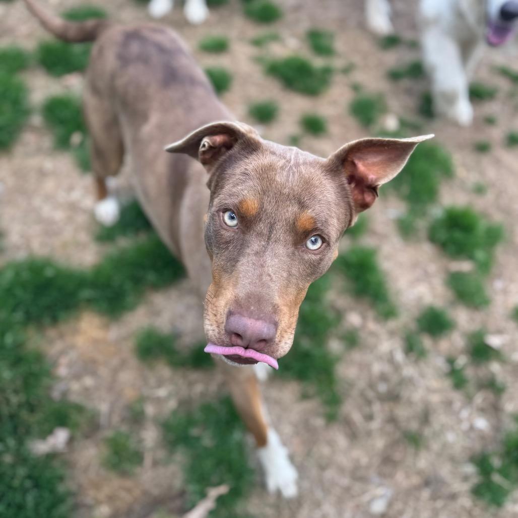 Charm — thumbnail 2