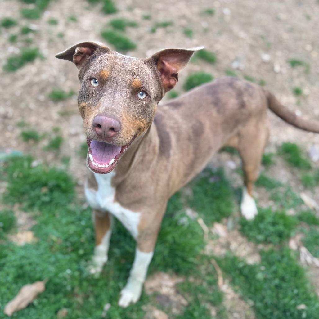 Charm — thumbnail 3