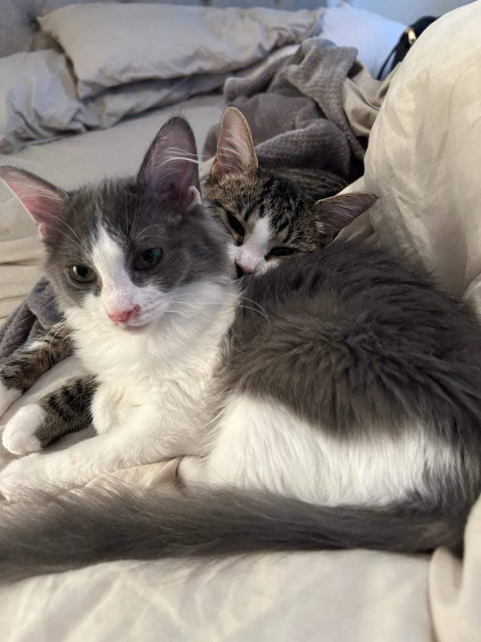 Arya & Sansa