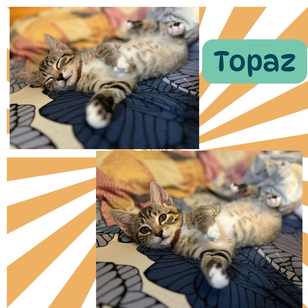 The purring gemstones : Topaz and Quartz photo 5
