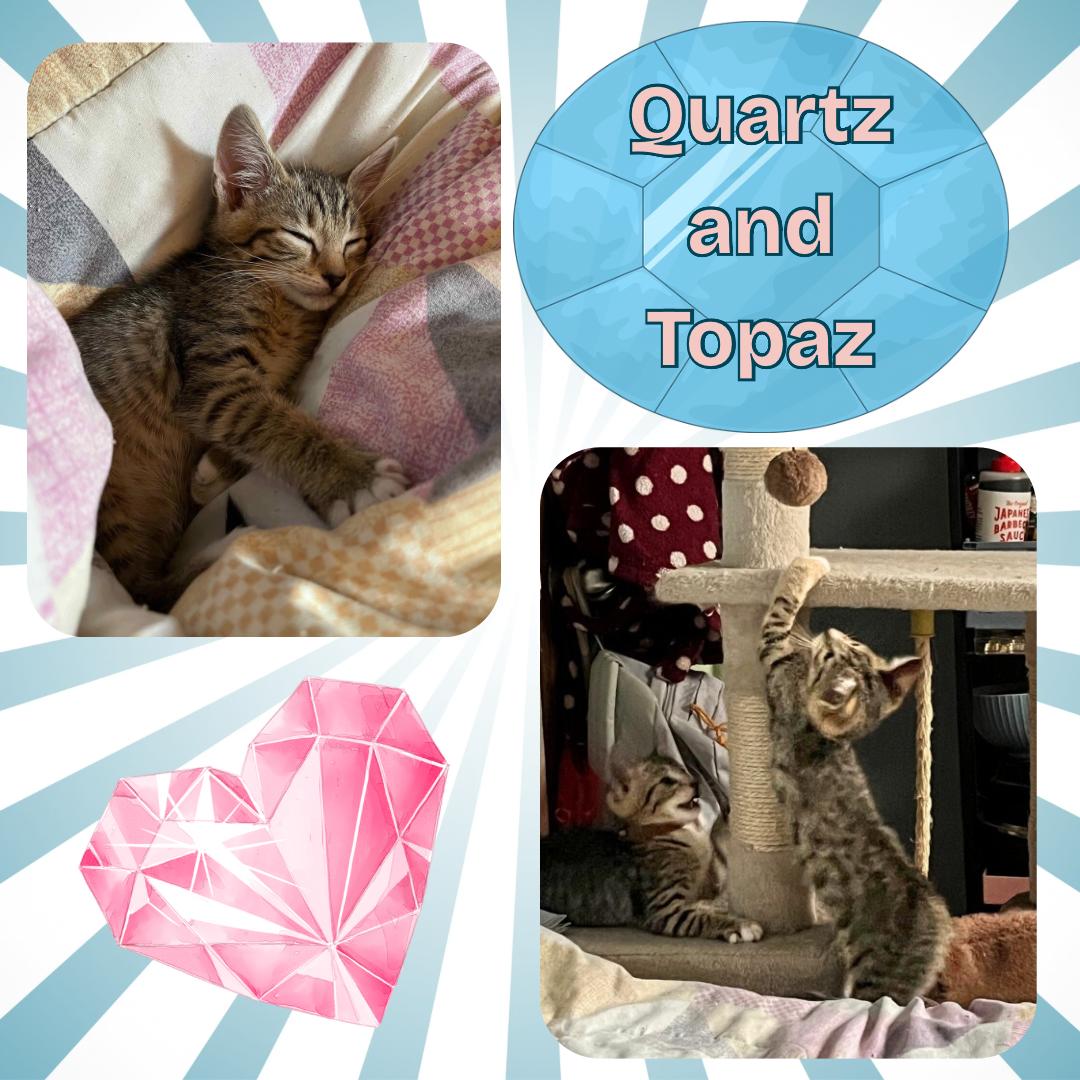 The purring gemstones : Topaz and Quartz photo 4