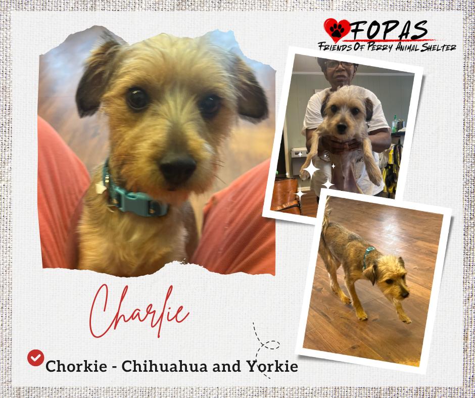 Charlie