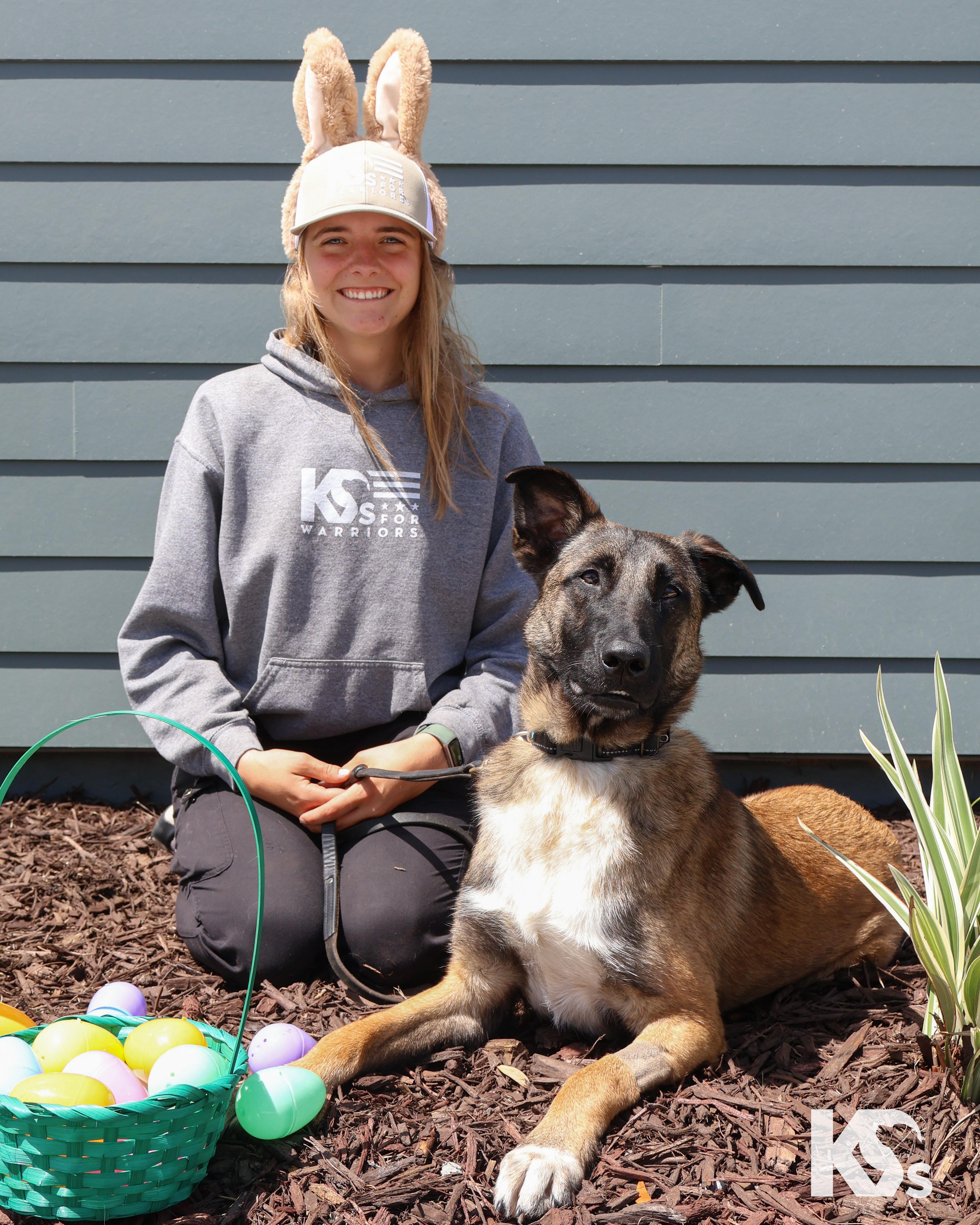 Enlarge Anchor, a Adoptable mixed breed in Ponte Vedra, FL image 6/6