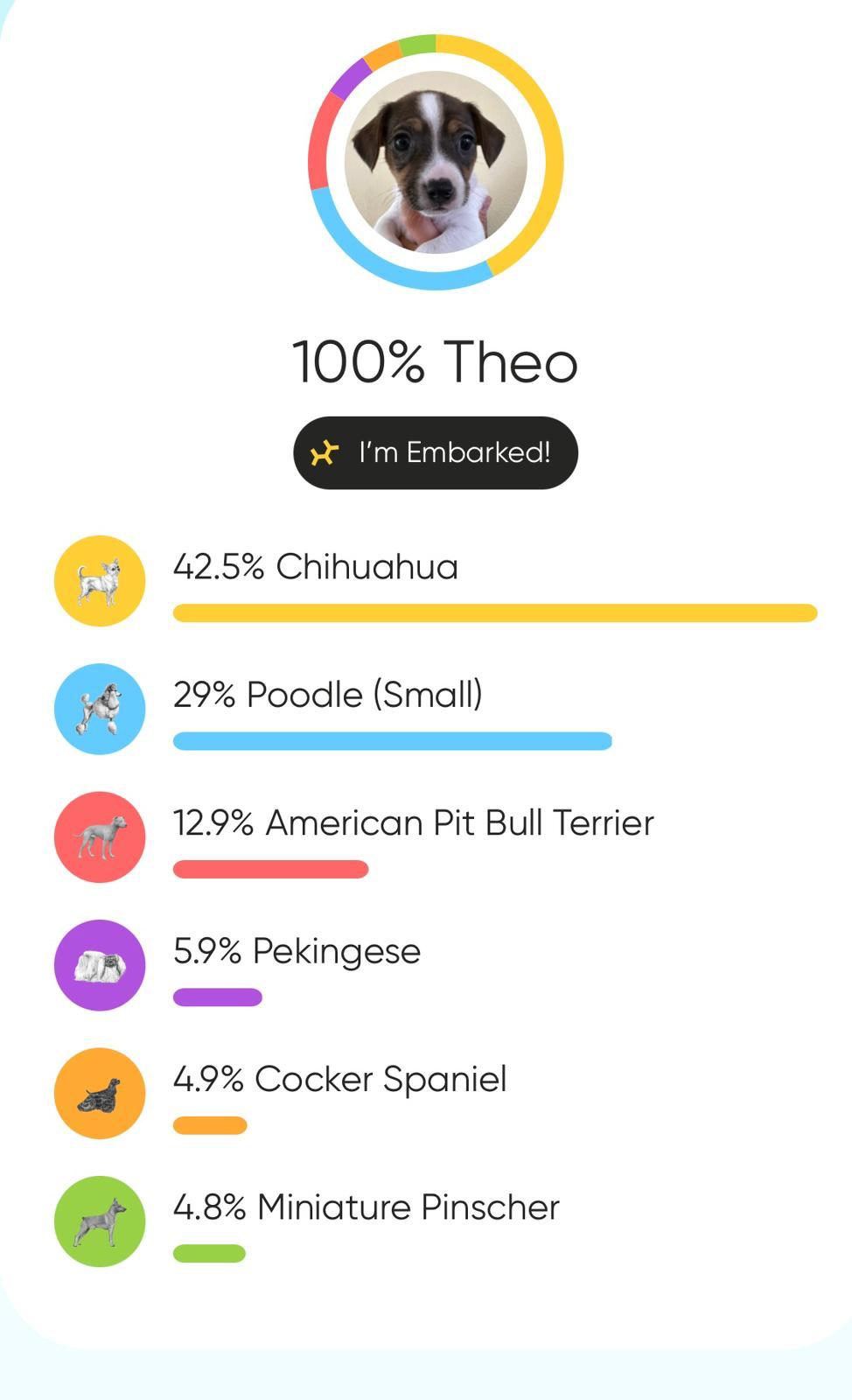 Theo