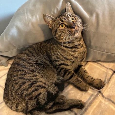 Samuel — thumbnail 2