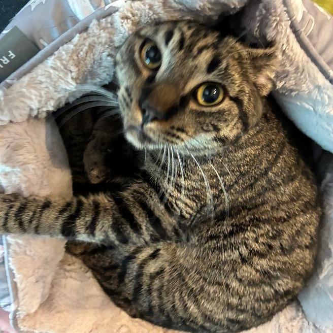 Samuel — thumbnail 3