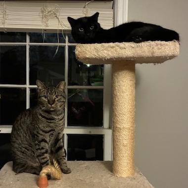 Samuel — thumbnail 5