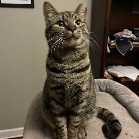 Samuel — thumbnail 6