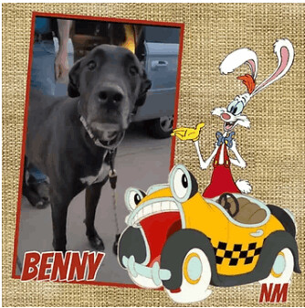Benny