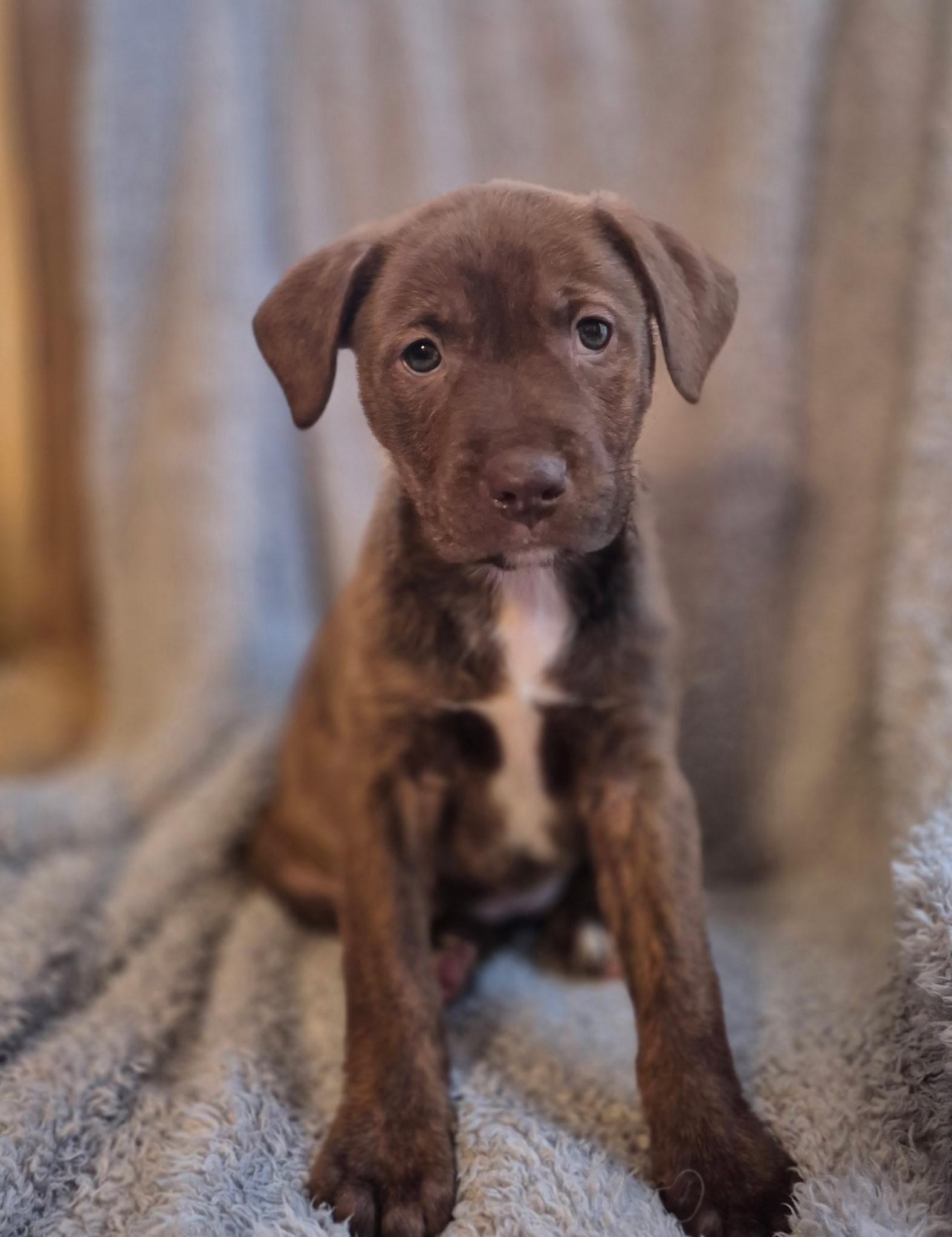 Lily Ann Bloom — thumbnail 2