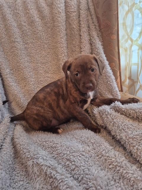 Lily Ann Bloom — thumbnail 3