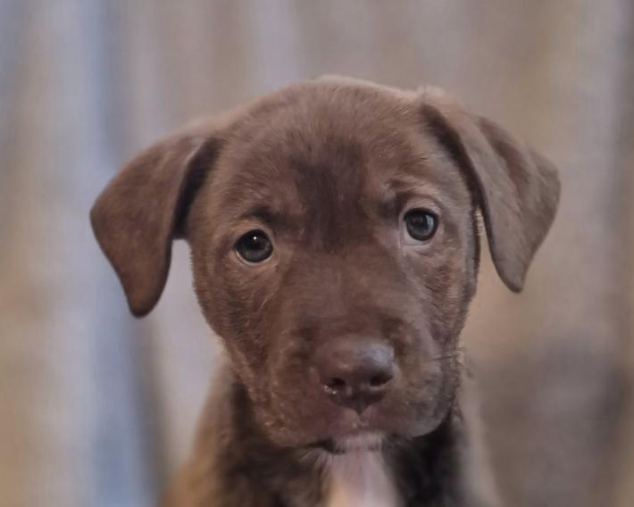 Lily Ann Bloom — thumbnail 4