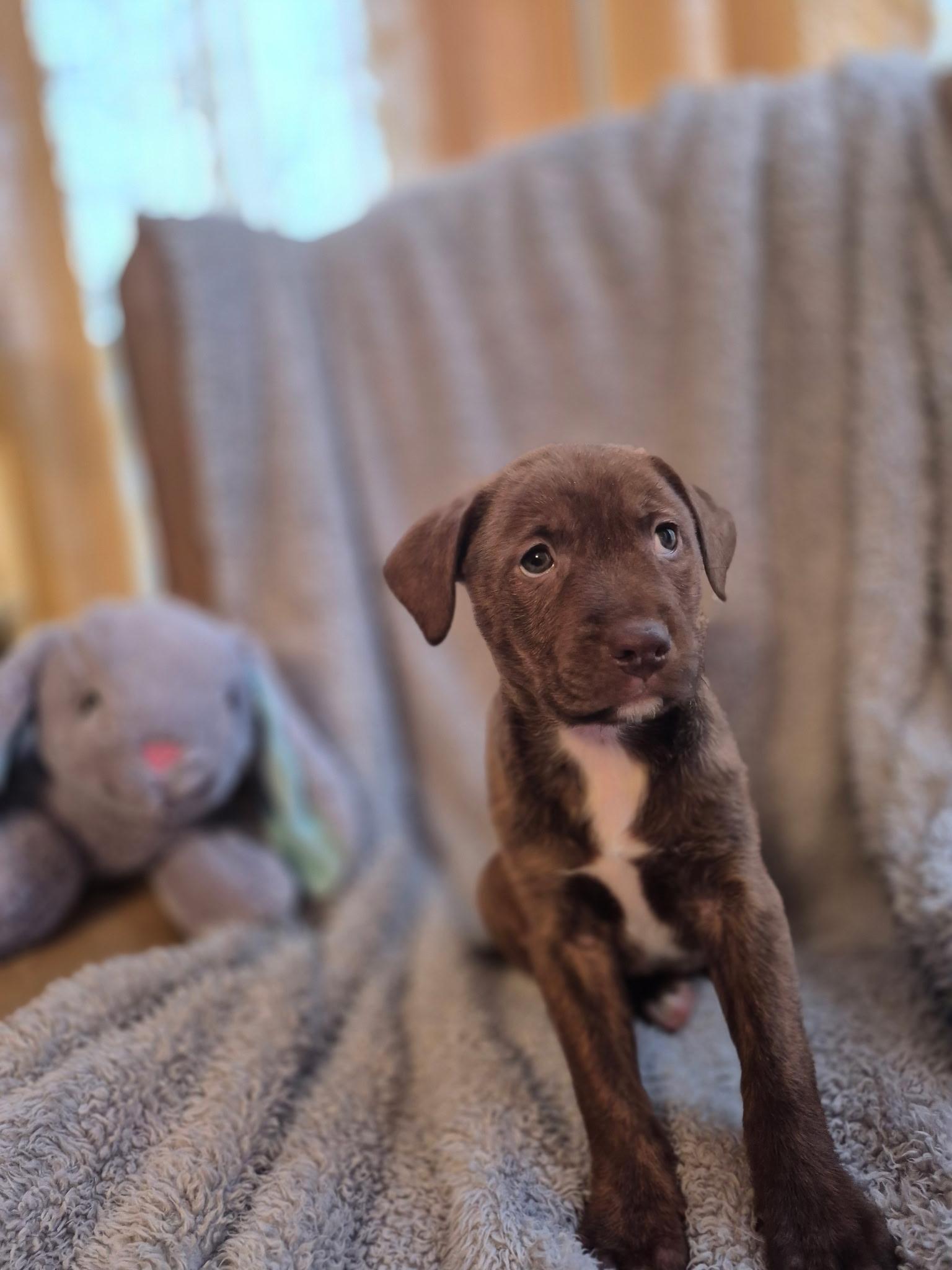 Lily Ann Bloom — thumbnail 5