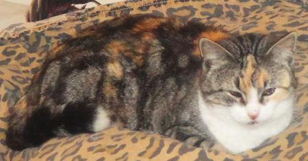 Skylar — thumbnail 2