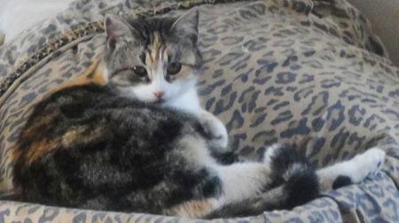 Skylar — thumbnail 3