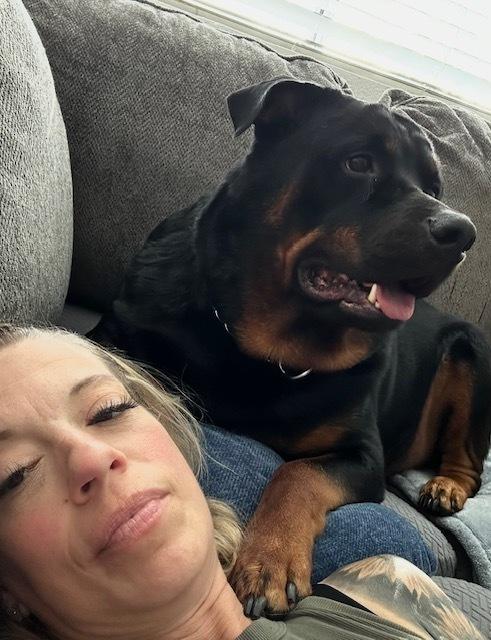 Kane, a Adoptable Rottweiler in Gilbert, AZ image 5/5