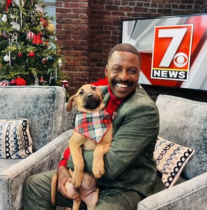 Enlarge Biscoff $125, a Adoptable mixed breed in Seneca, SC image 1/3