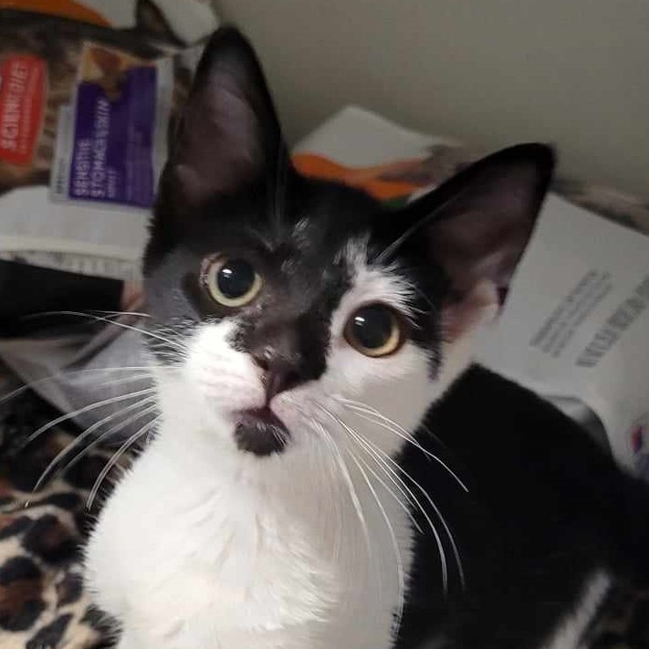 Cuddles — thumbnail 2