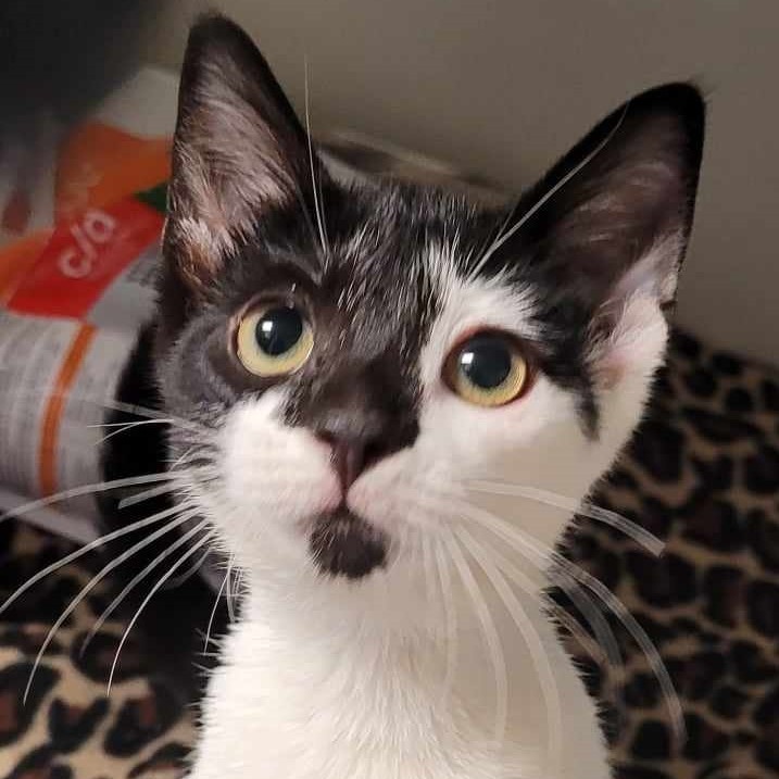 Cuddles — thumbnail 3