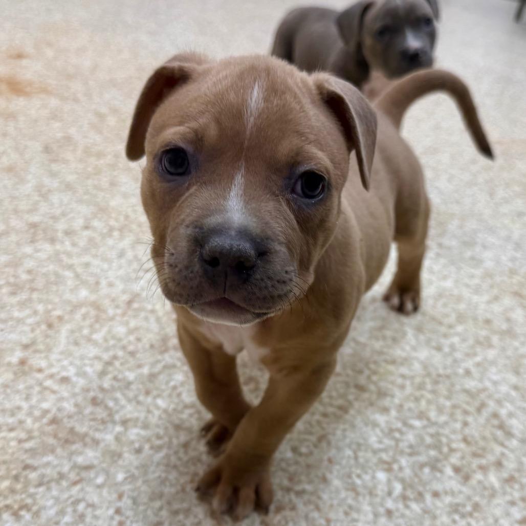 Retcon — thumbnail 2