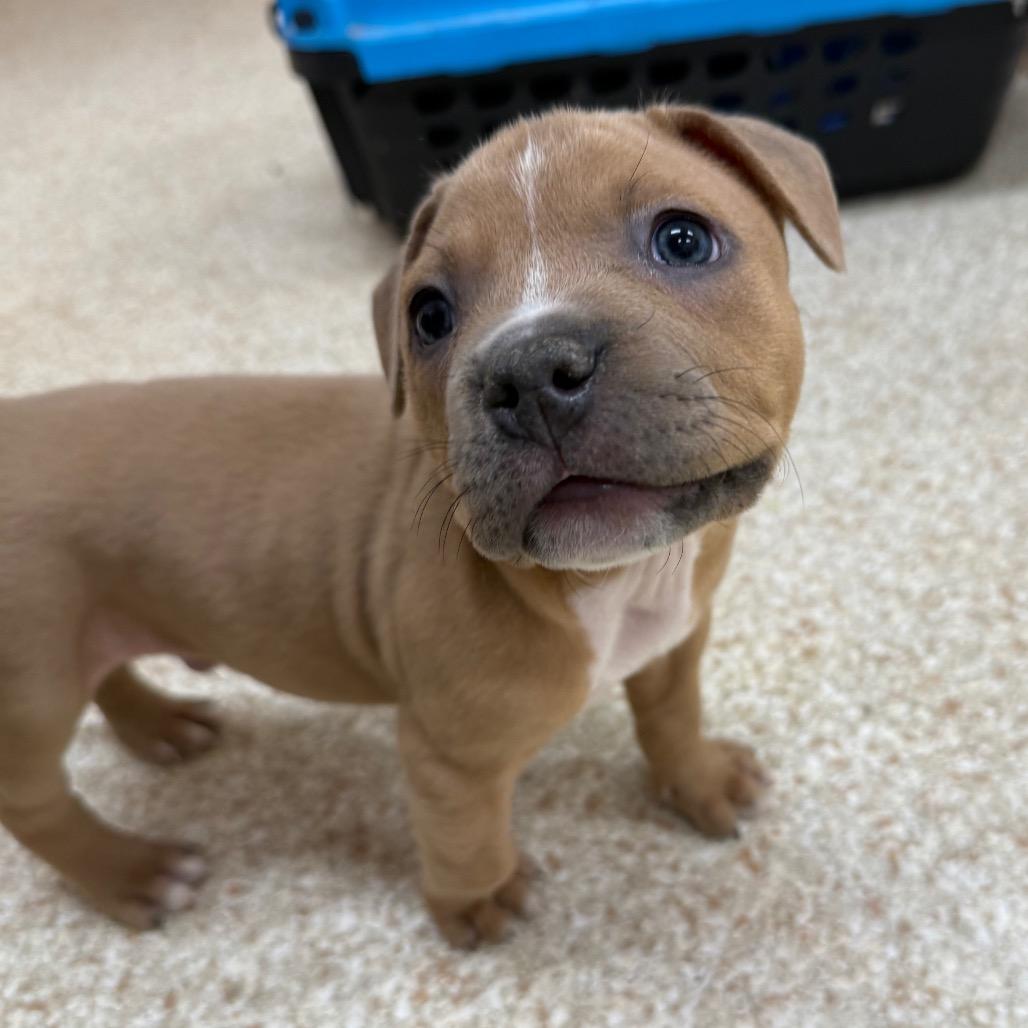 Retcon — thumbnail 3