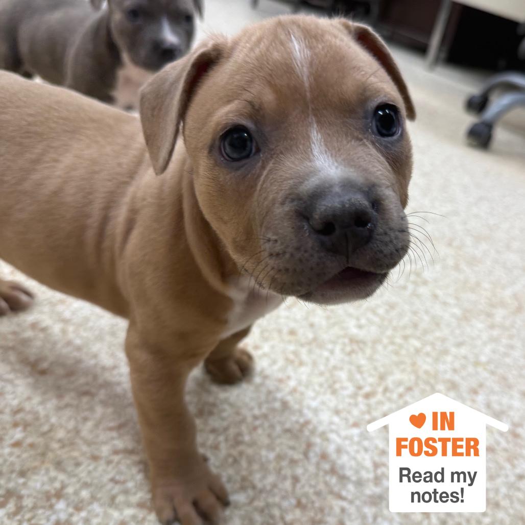 Retcon — thumbnail 4