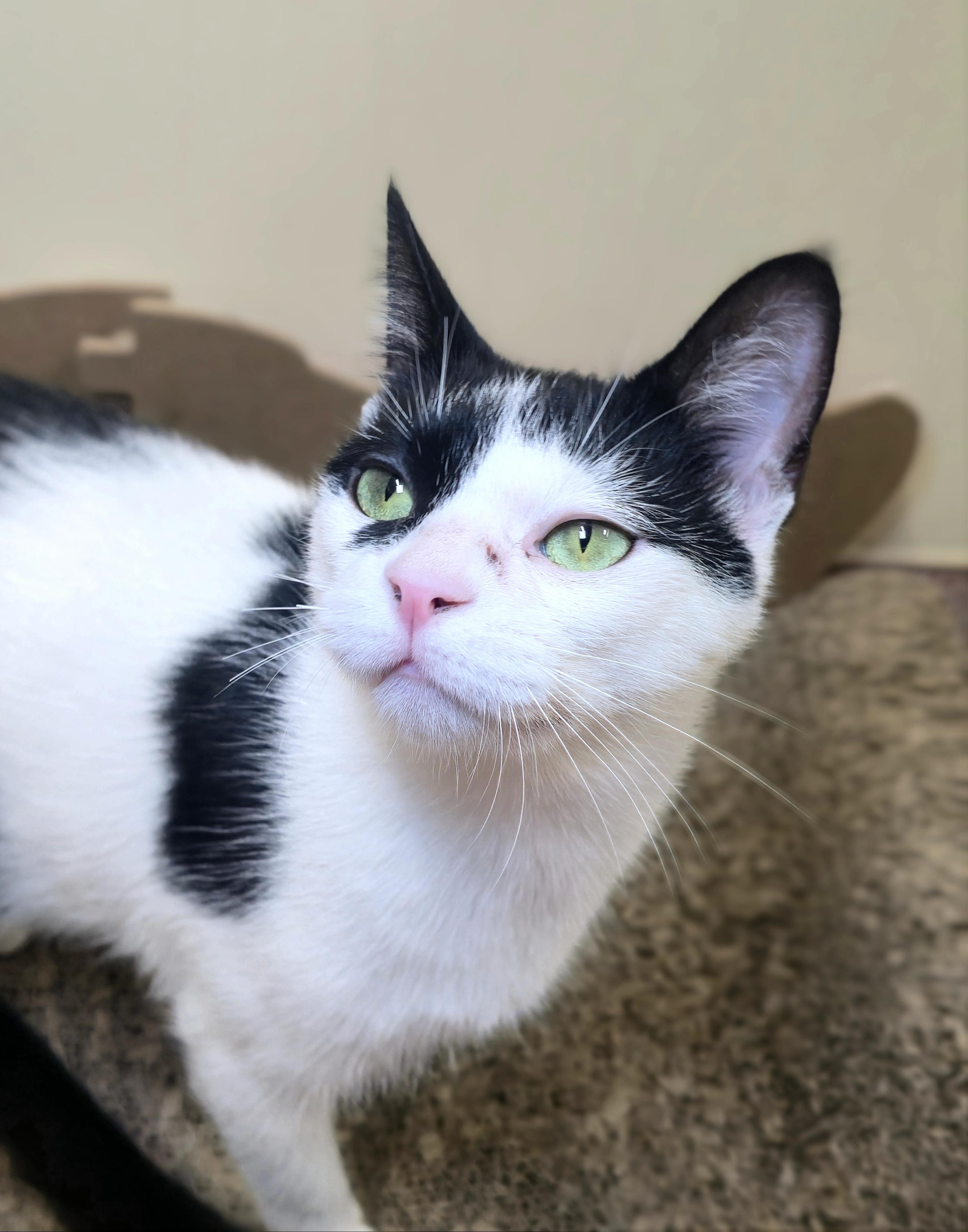 Sabrina