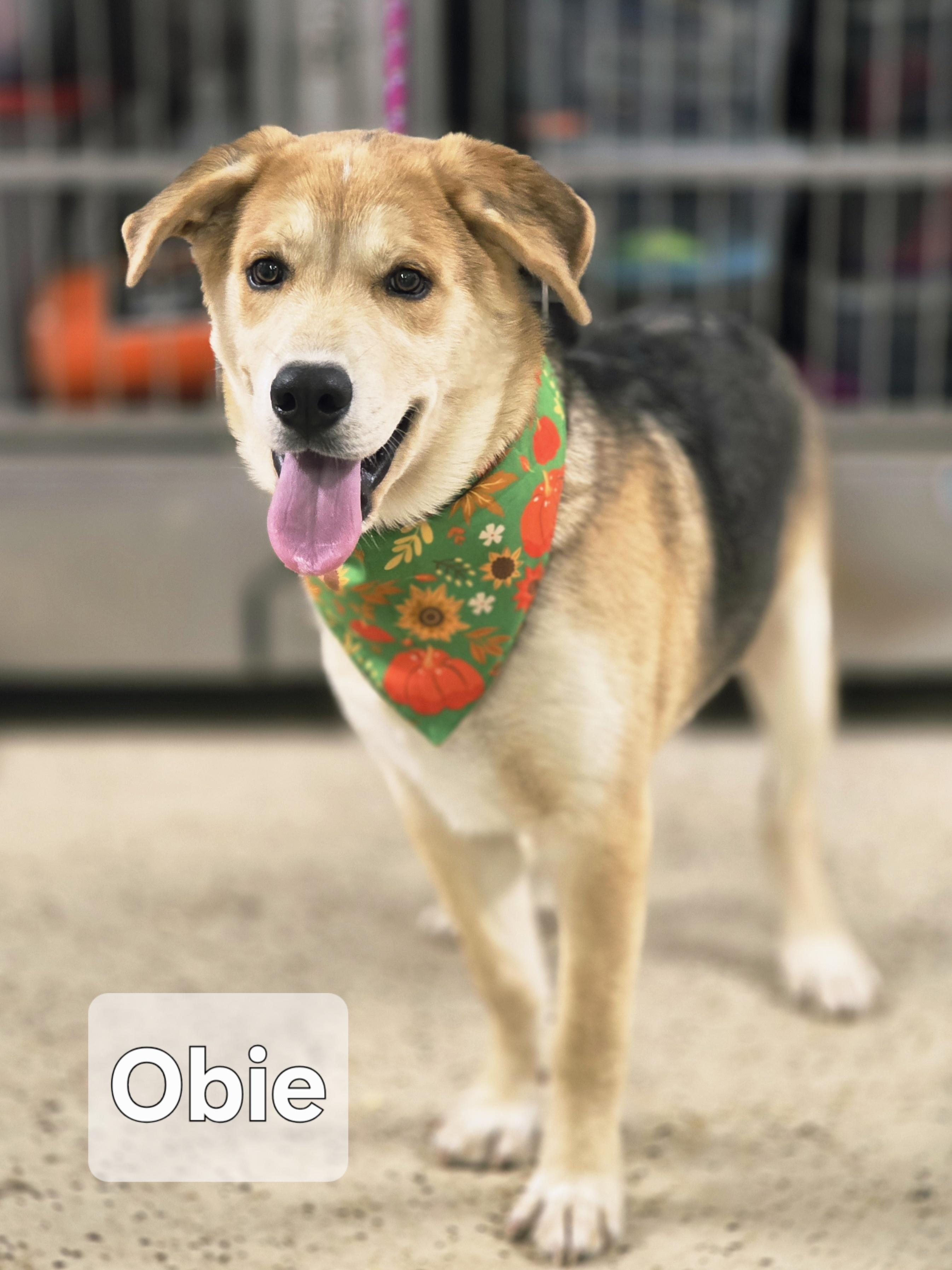 Obie