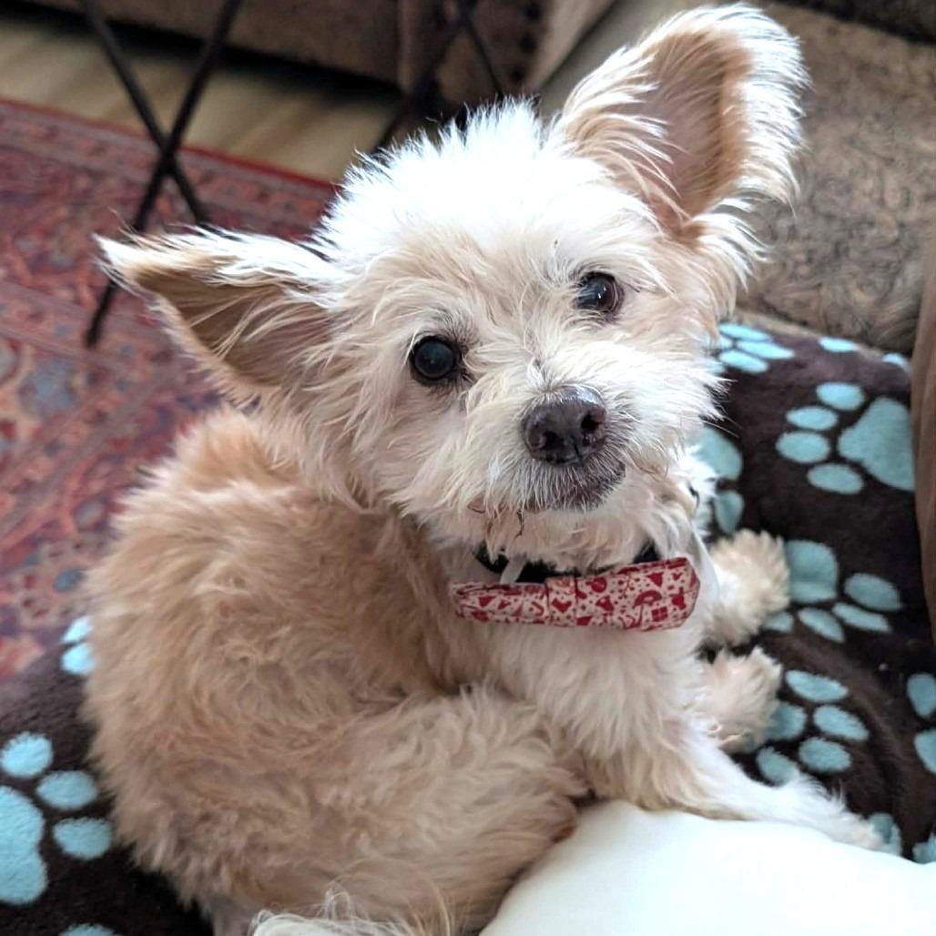 Freddie Weasley — thumbnail 5