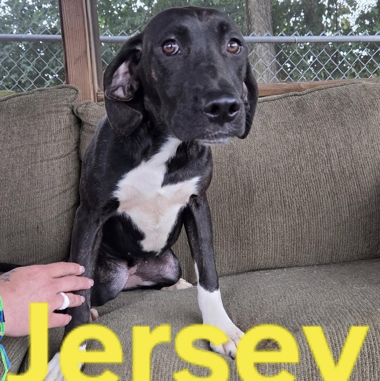 Jersey and Jenna