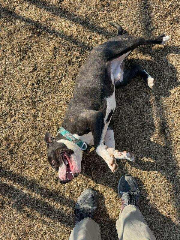 Marty — thumbnail 2