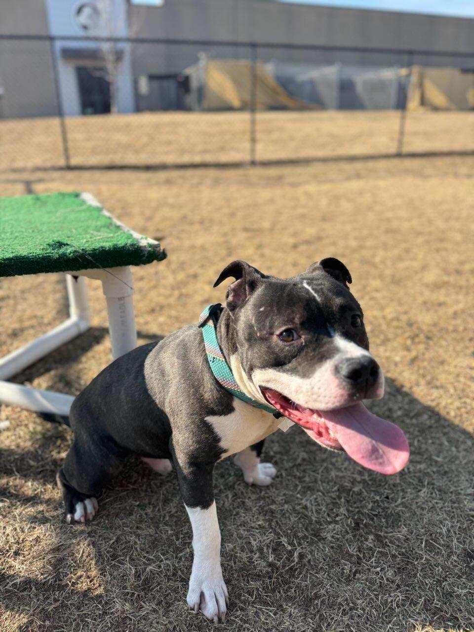 Marty — thumbnail 3