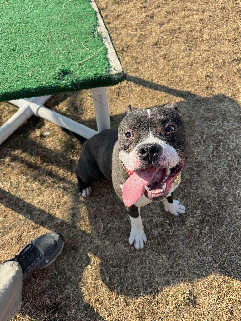 Marty — thumbnail 4