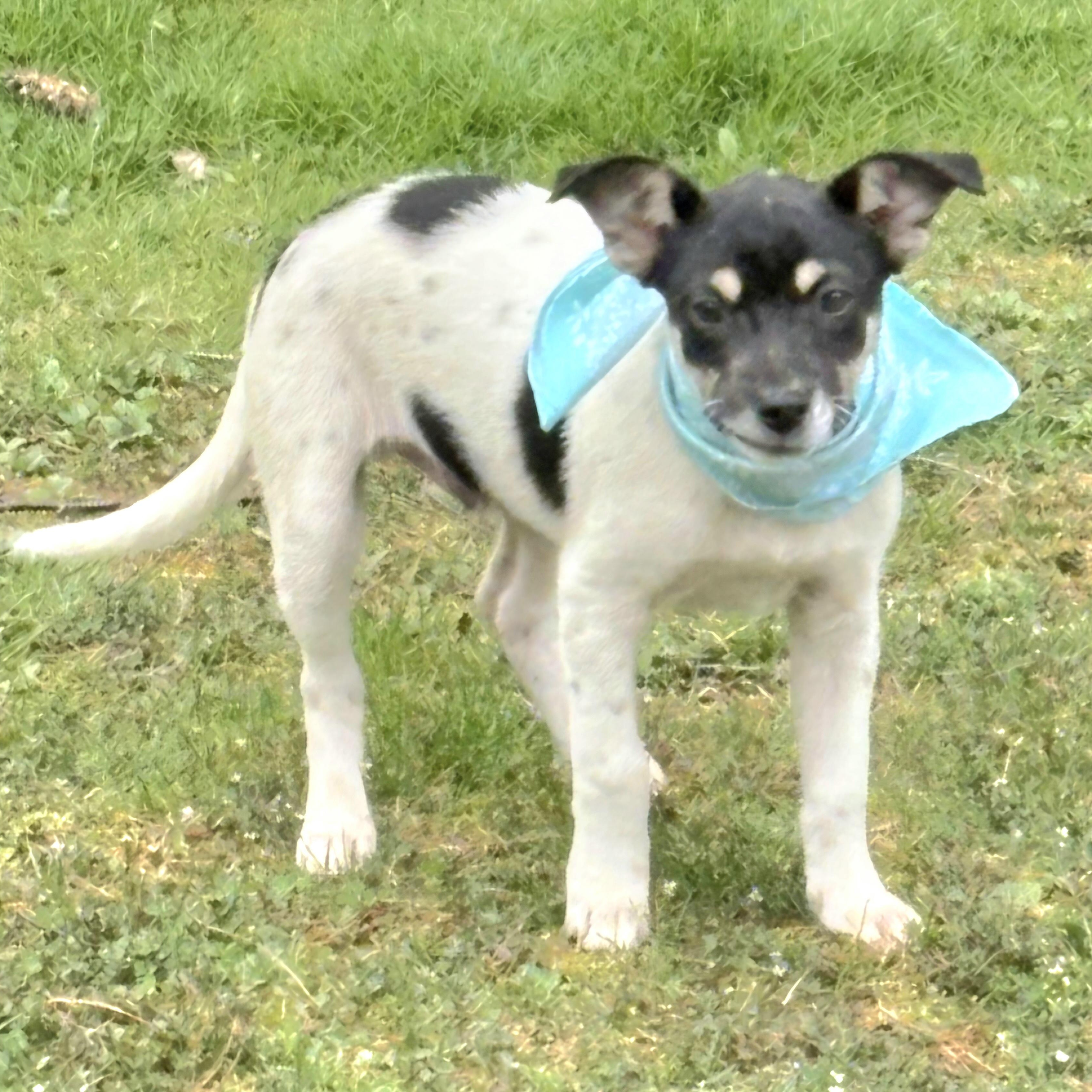 DOMINO in New York to meet & greet!