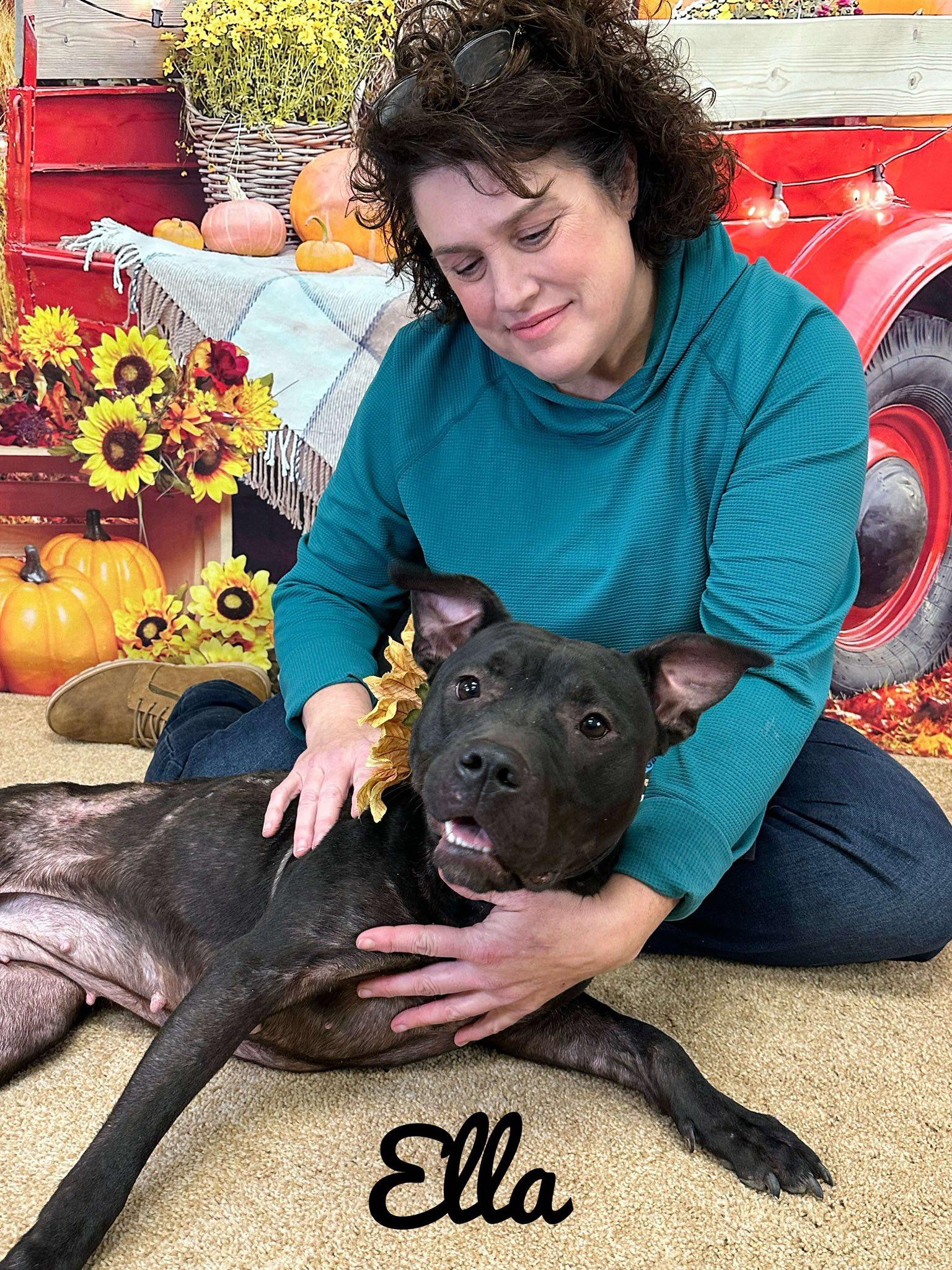 Enlarge Ella, a Adoptable Mixed Breed in Flint, MI image 1/1