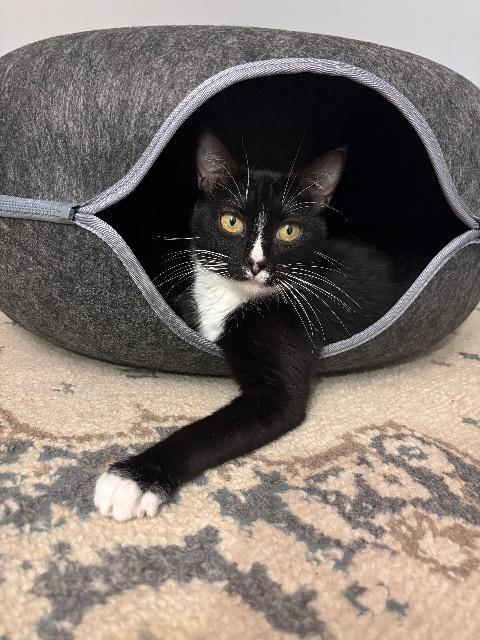 Fuzzy Socks thumbnail 5