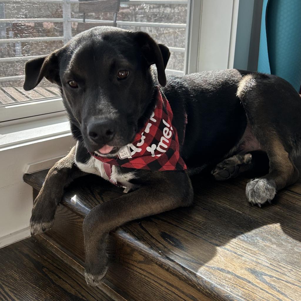 Taylor Tot thumbnail 2