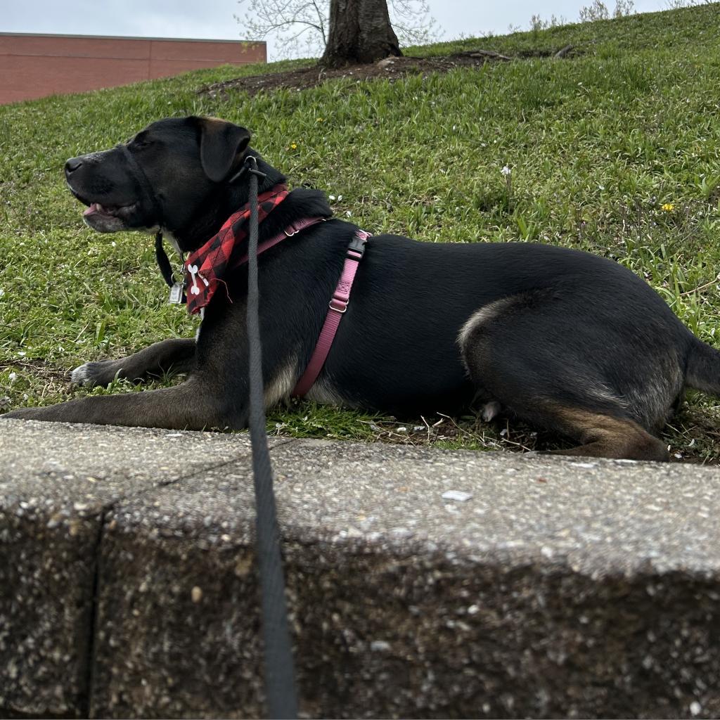 Taylor Tot thumbnail 5