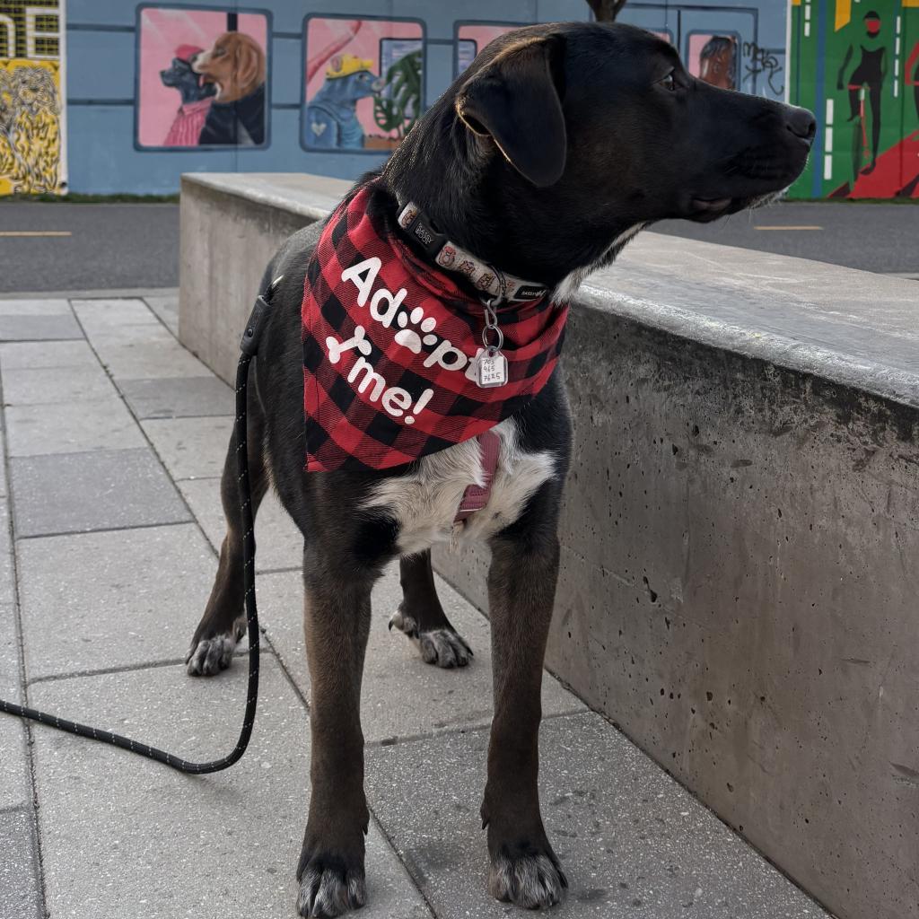 Taylor Tot thumbnail 6