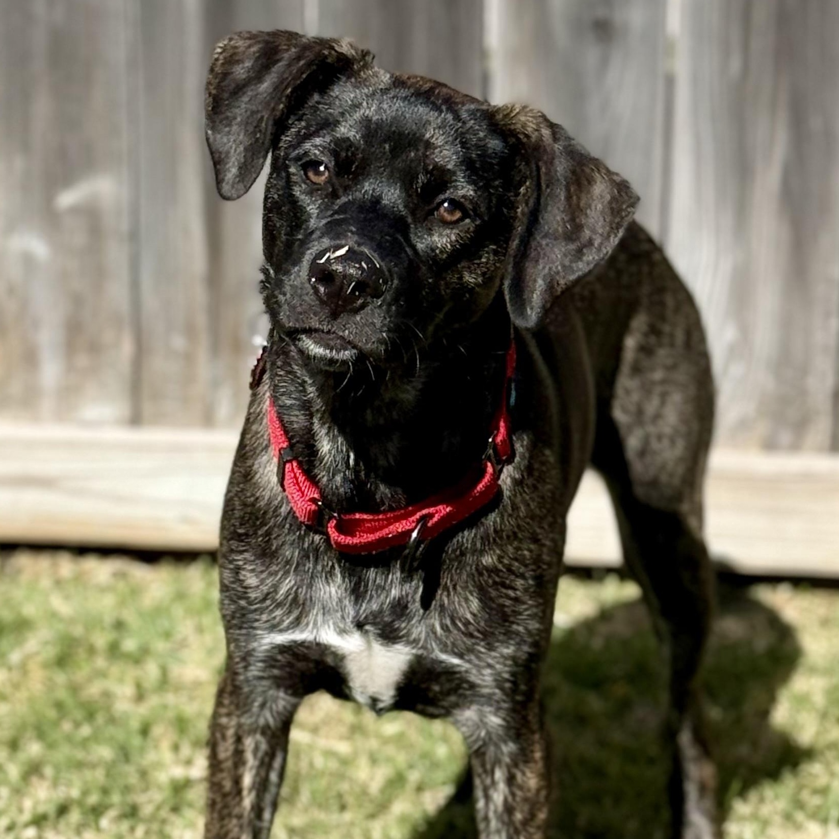 Lovey Kissy the Fun Lover Girl — thumbnail 2