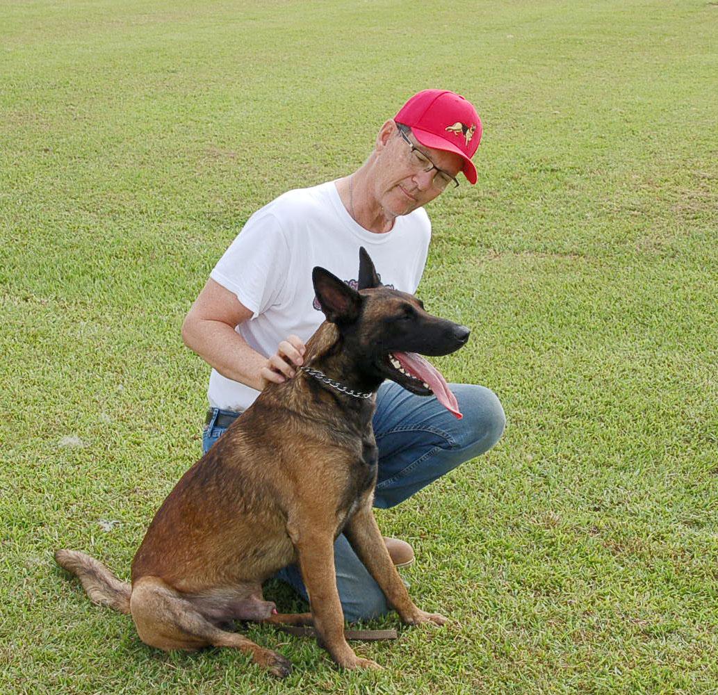 KLAUS AD 09-08-25, a Adoptable Belgian Shepherd / Malinois in Preston, CT image 5/5