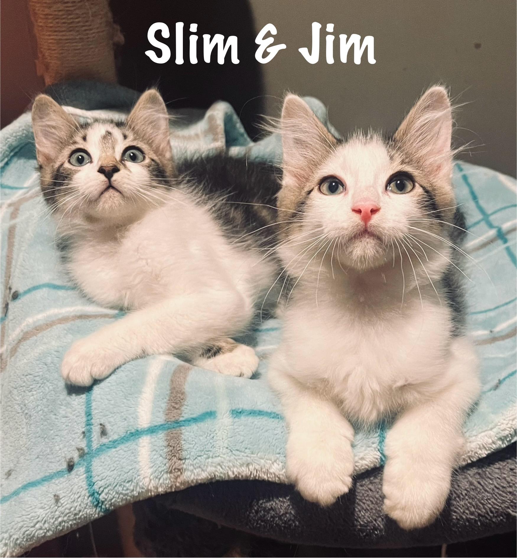 Slim & Jim, Baby Male unknown