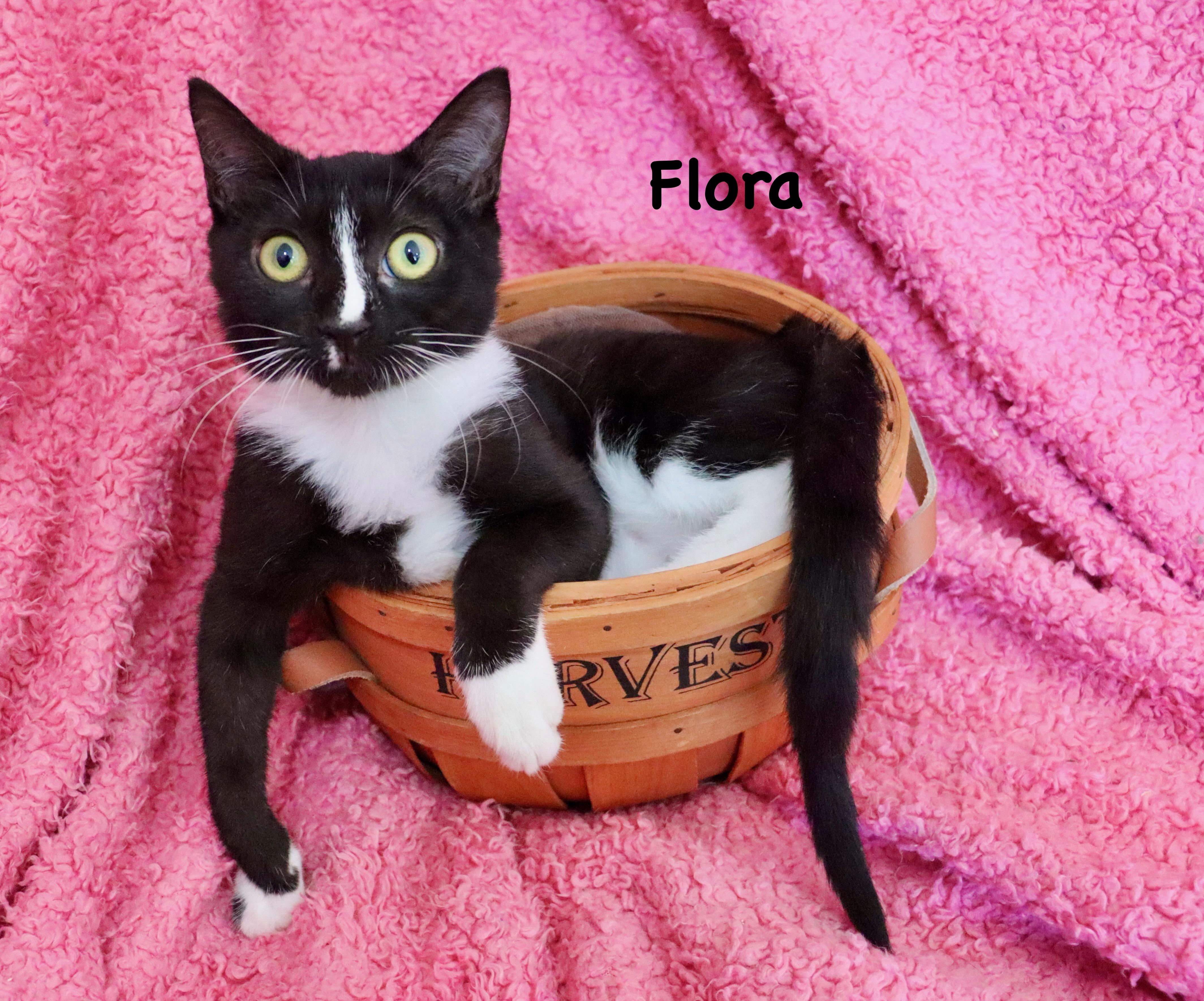 Flora