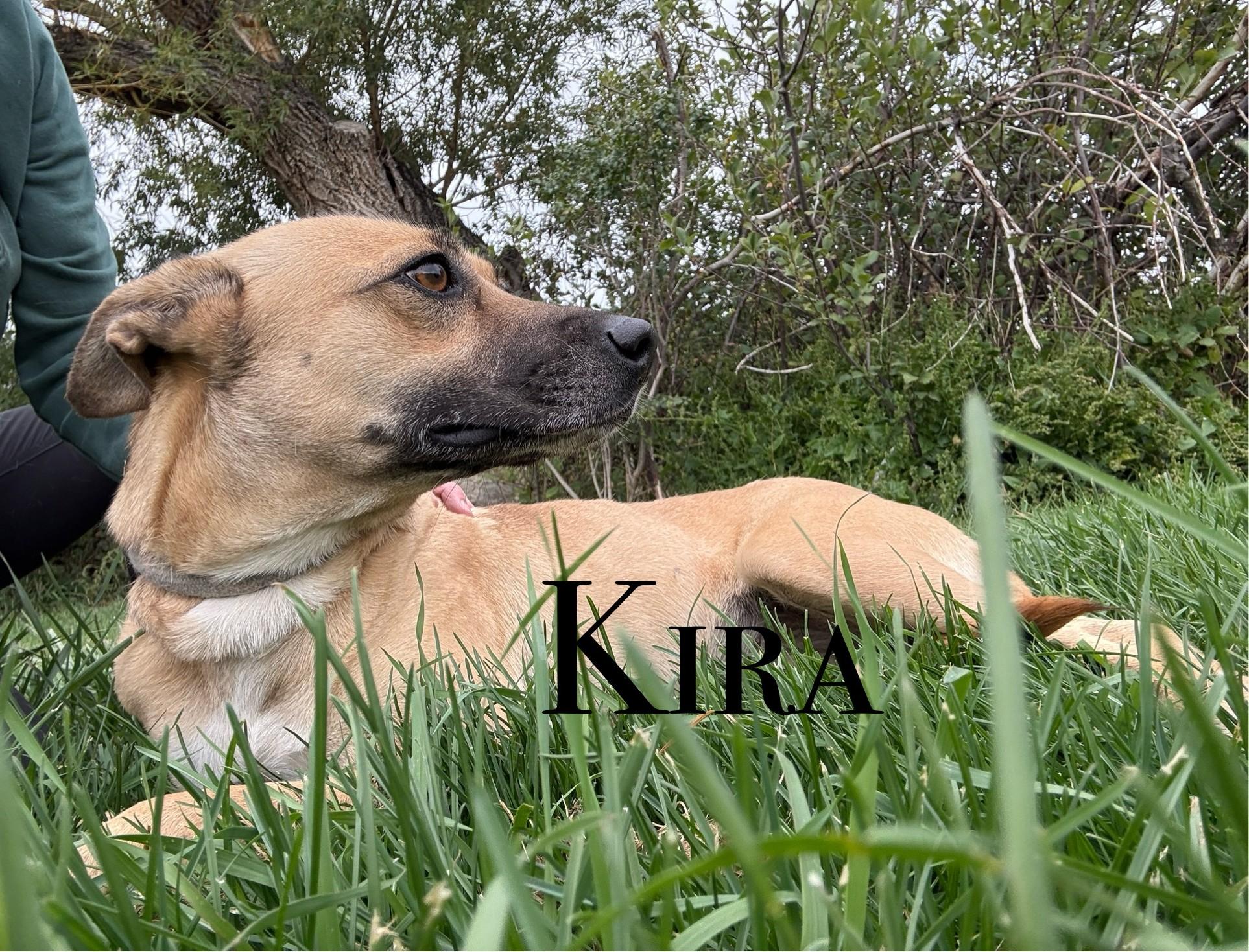 Kira