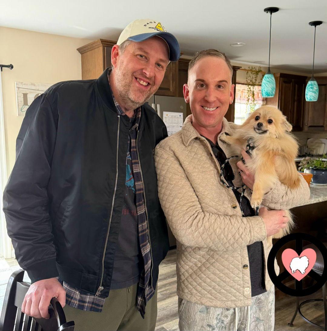 Enlarge Peppers, a Adopted Pomeranian in Lebanon, PA image 1/3