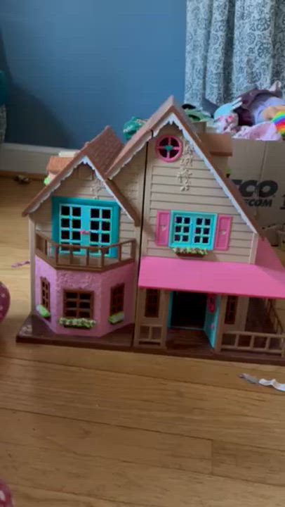 Enlarge Peanut, an adopted mixed breed in Hyattsville, MD video 2/4