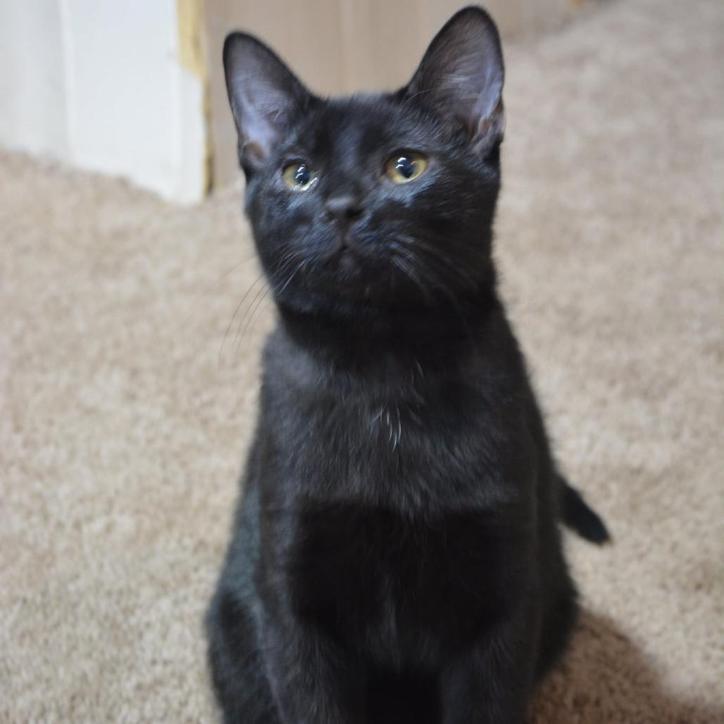 Rucker — thumbnail 3