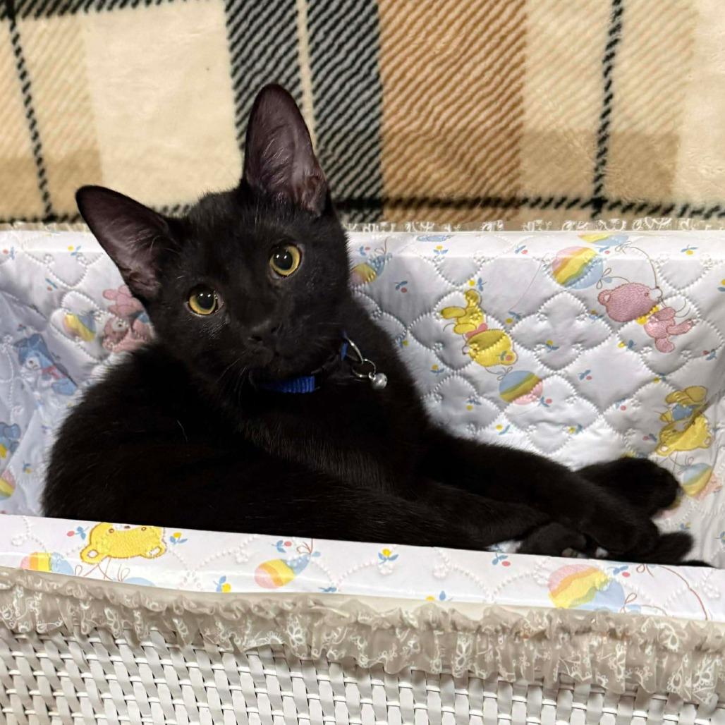 Rucker — thumbnail 4