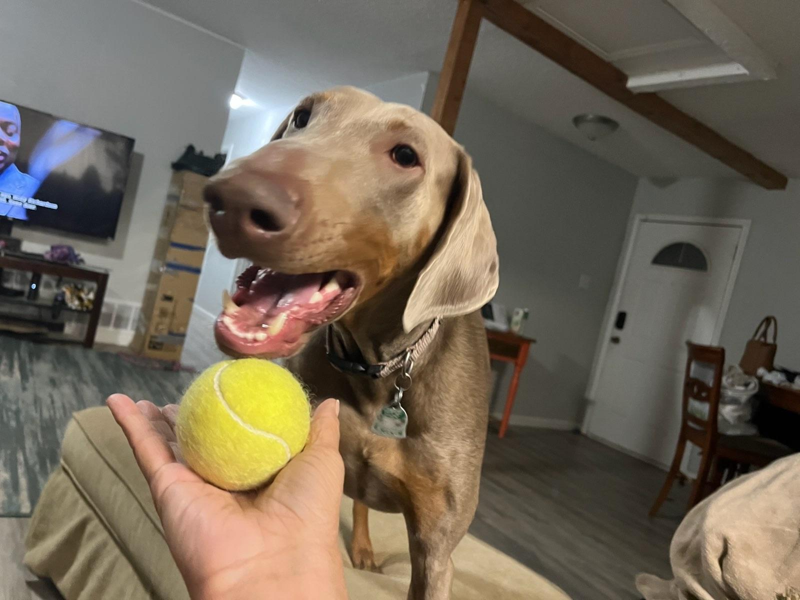 Nala photo 2